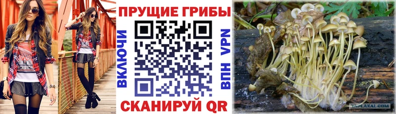 Купить  Снежинск  Псилоцибиновые грибы мухоморы 